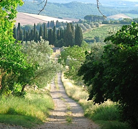 A dirt road in Italy.