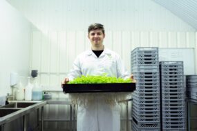 A man in an industrial lab holding a tray full of growing plants