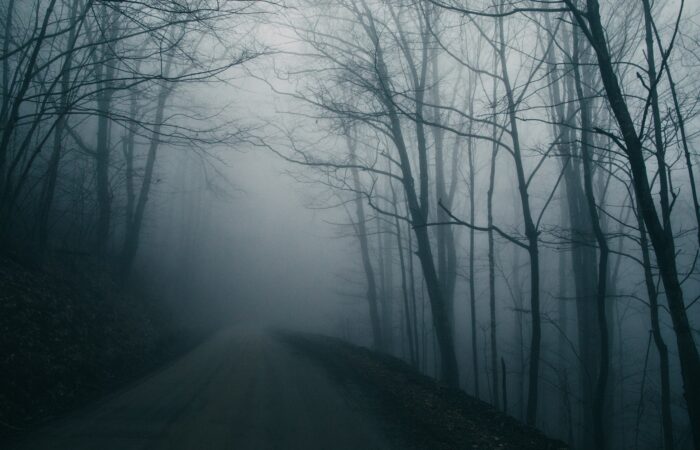 A foggy road leading off into a wood